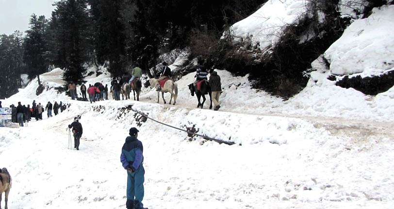 snow point manali